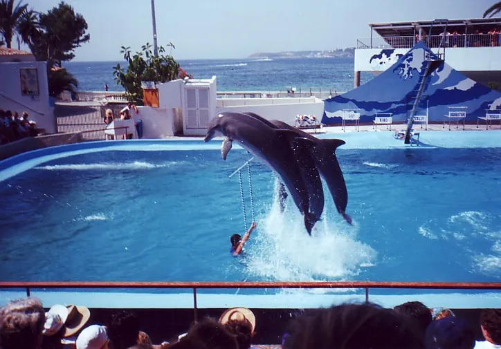 MARINELAND MALLORCA