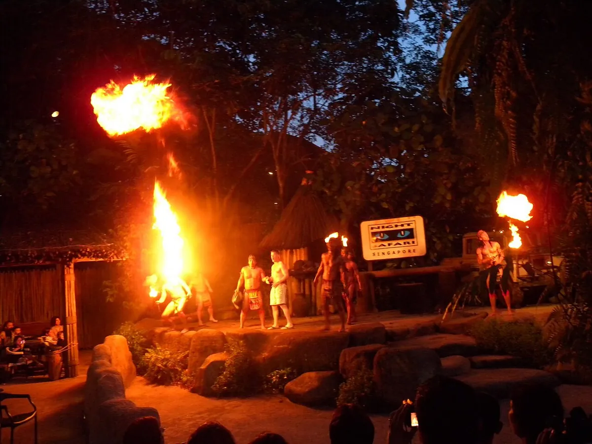 Night Safari