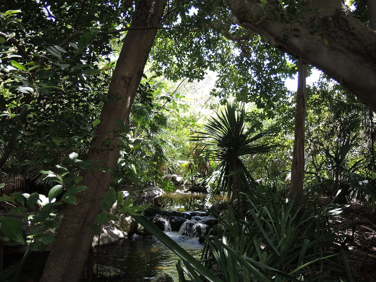 Jungle Island