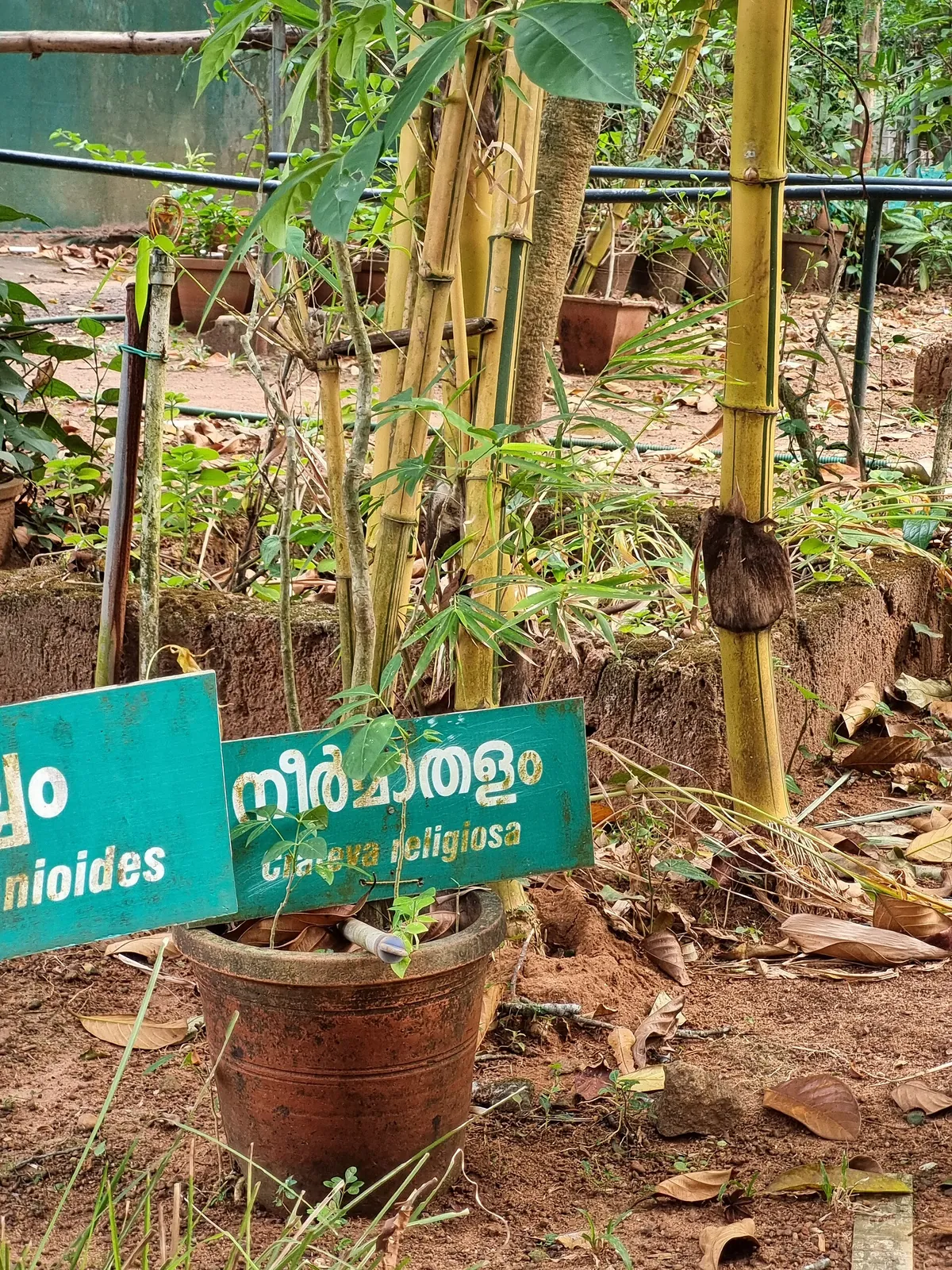 Thrissur Zoo