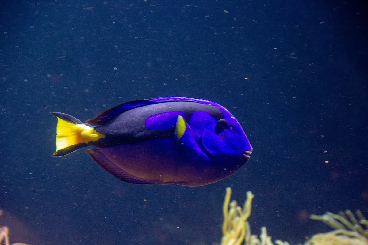 Long Island Aquarium and Exhibition Center