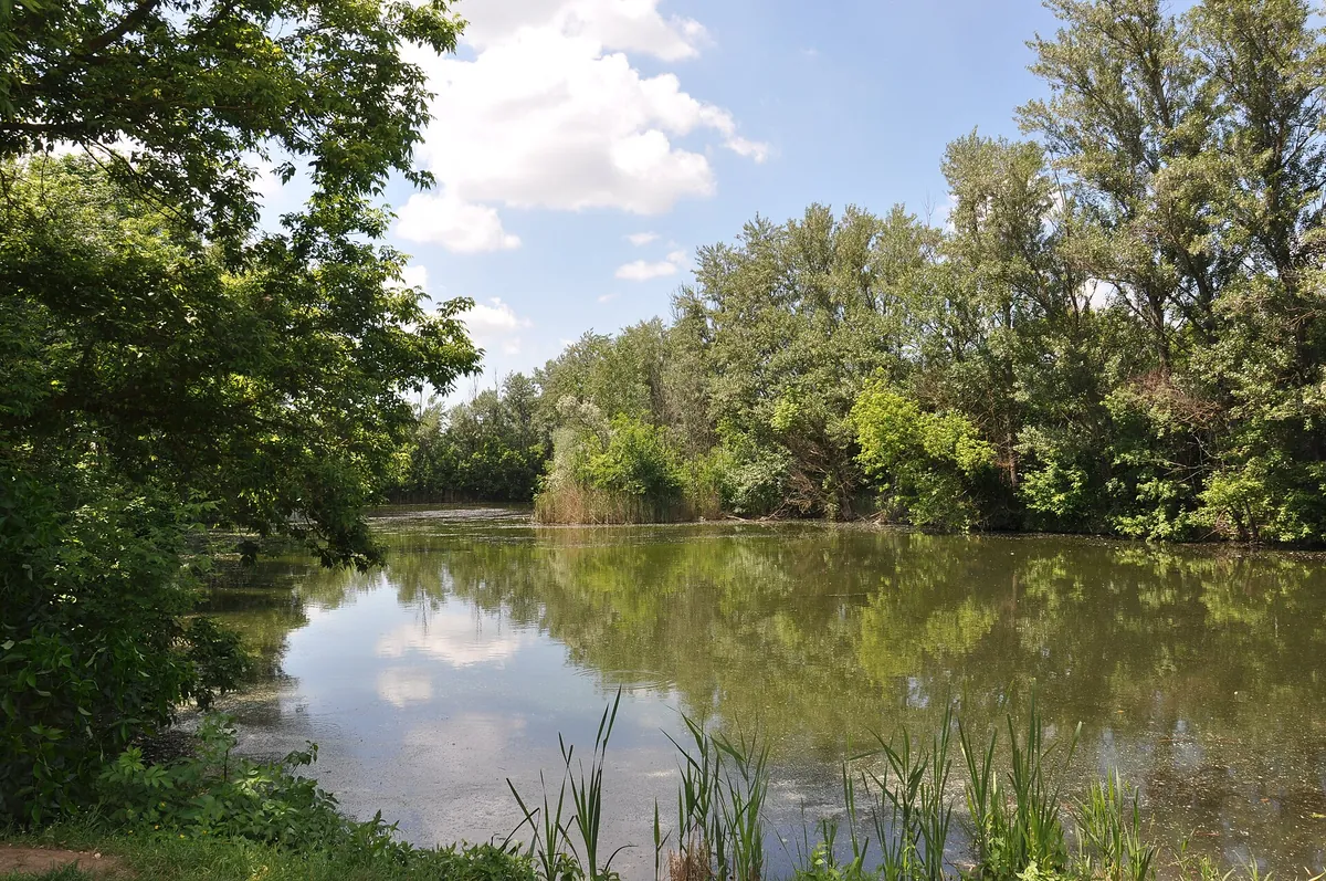 Rostov Zoo