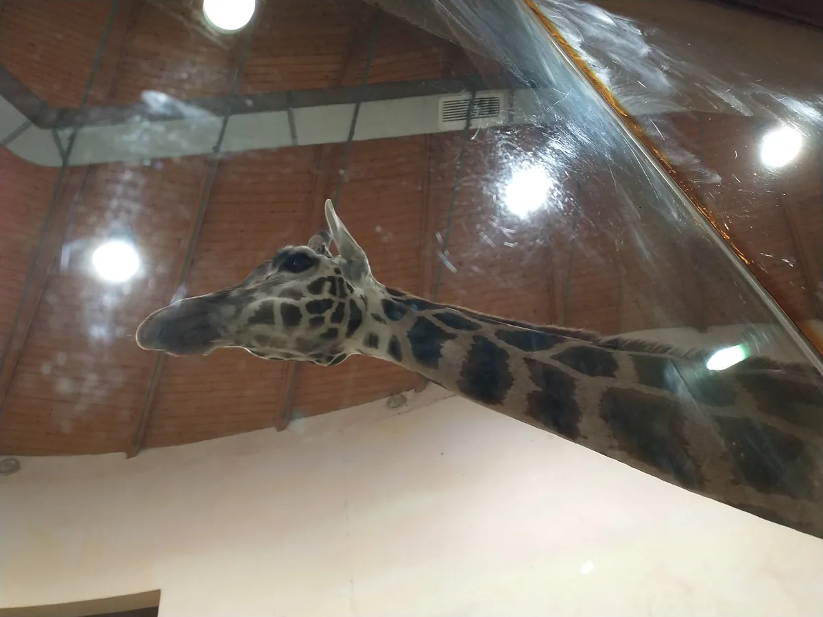 Prague Zoo