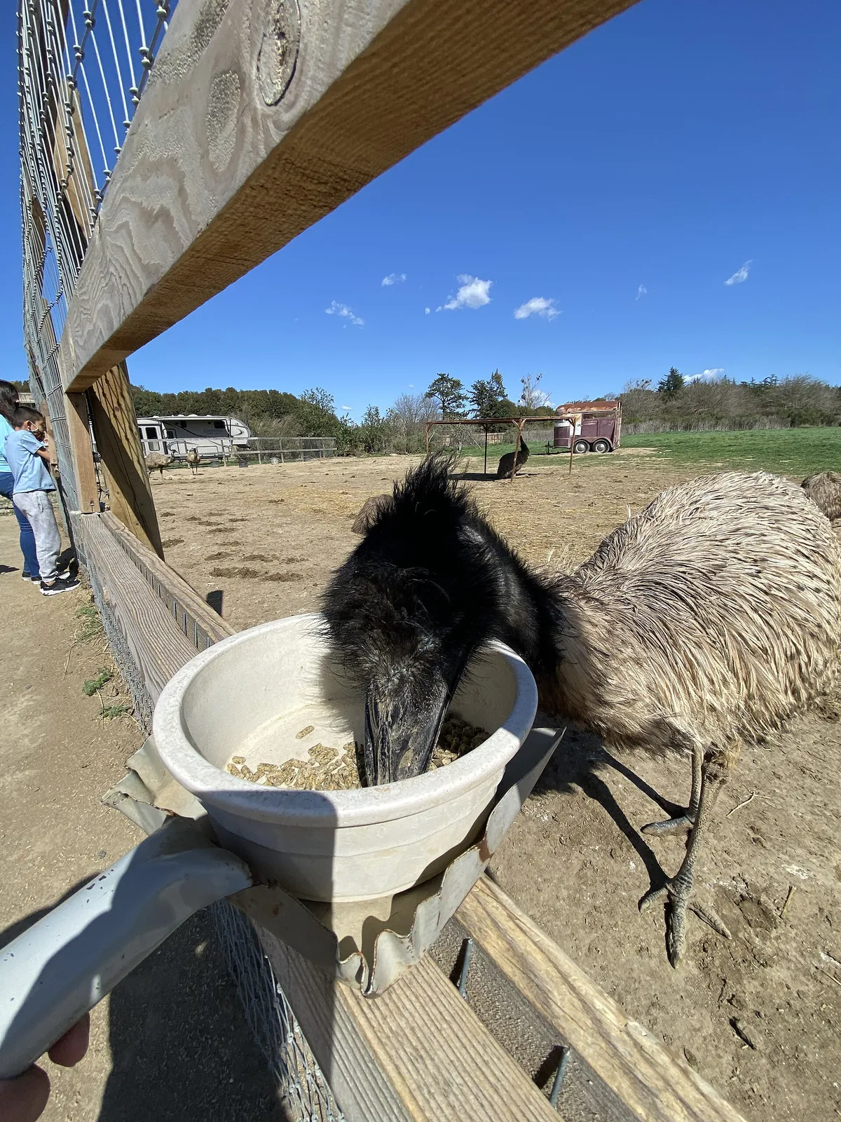 OstrichLand USA