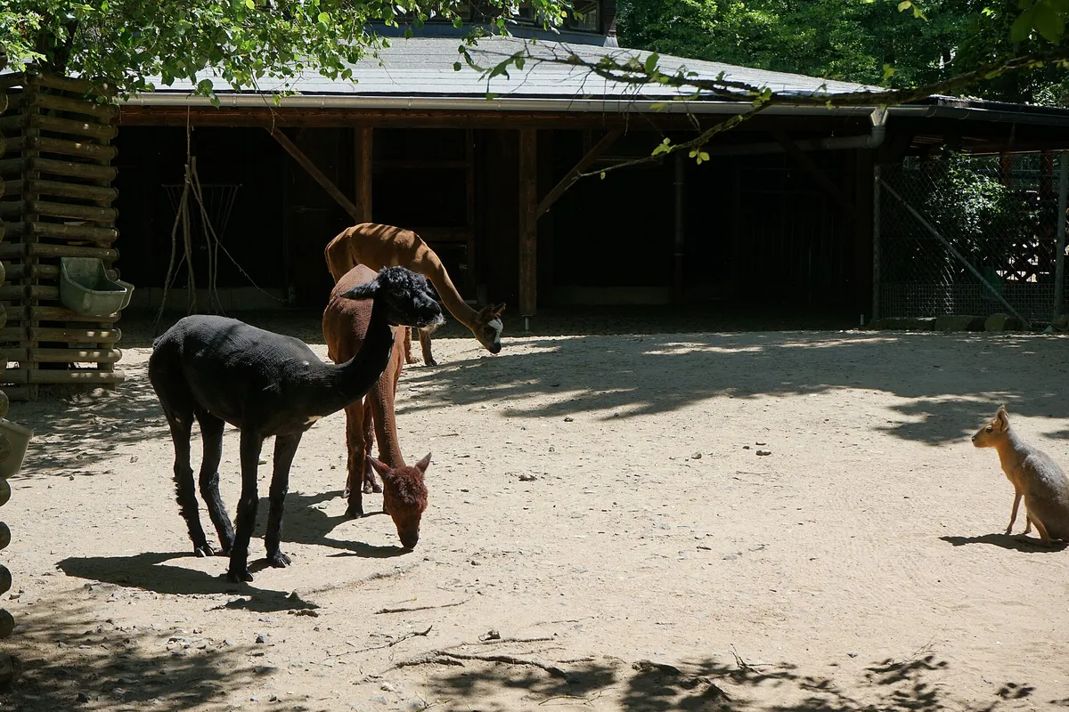 Zoologischer Garten Hof