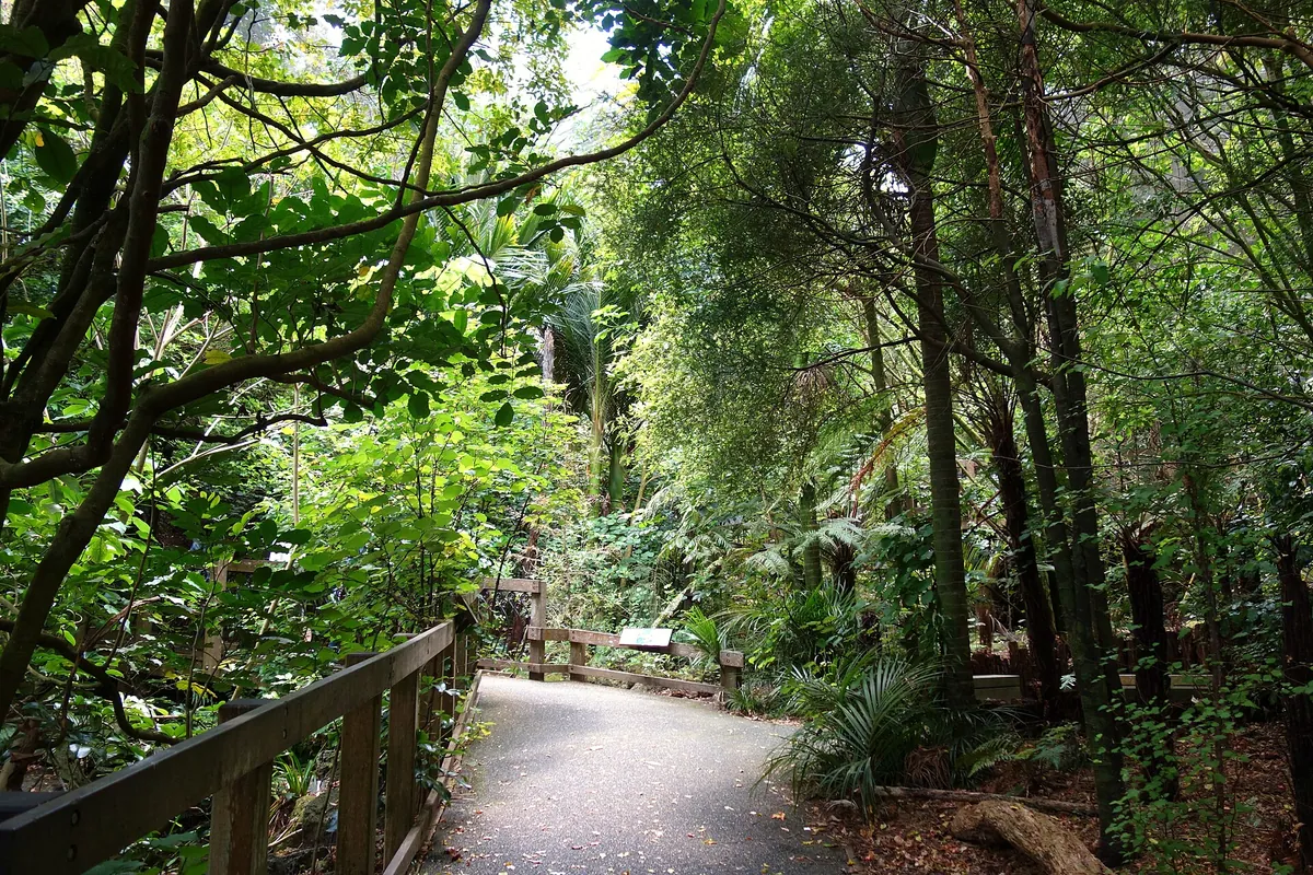Auckland Zoo