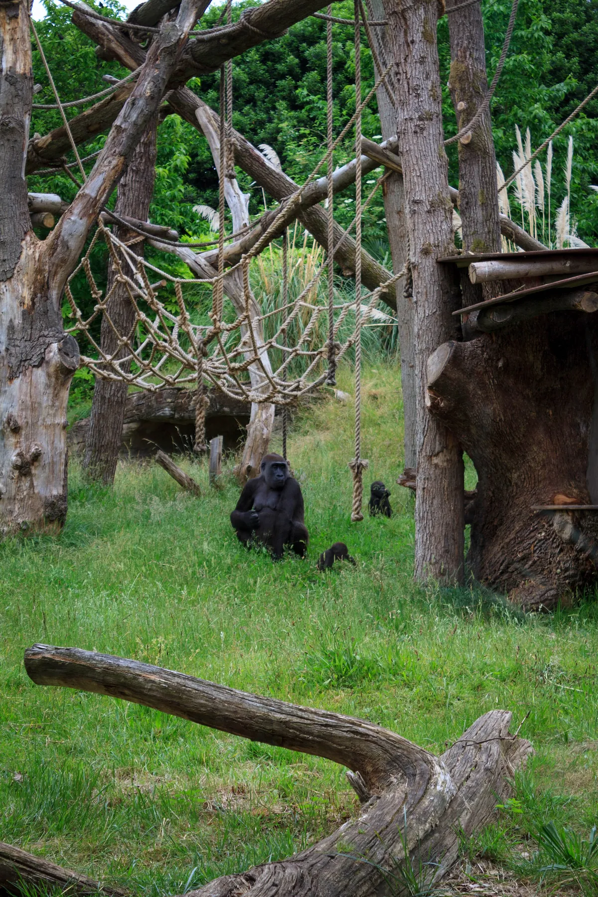 London Zoo