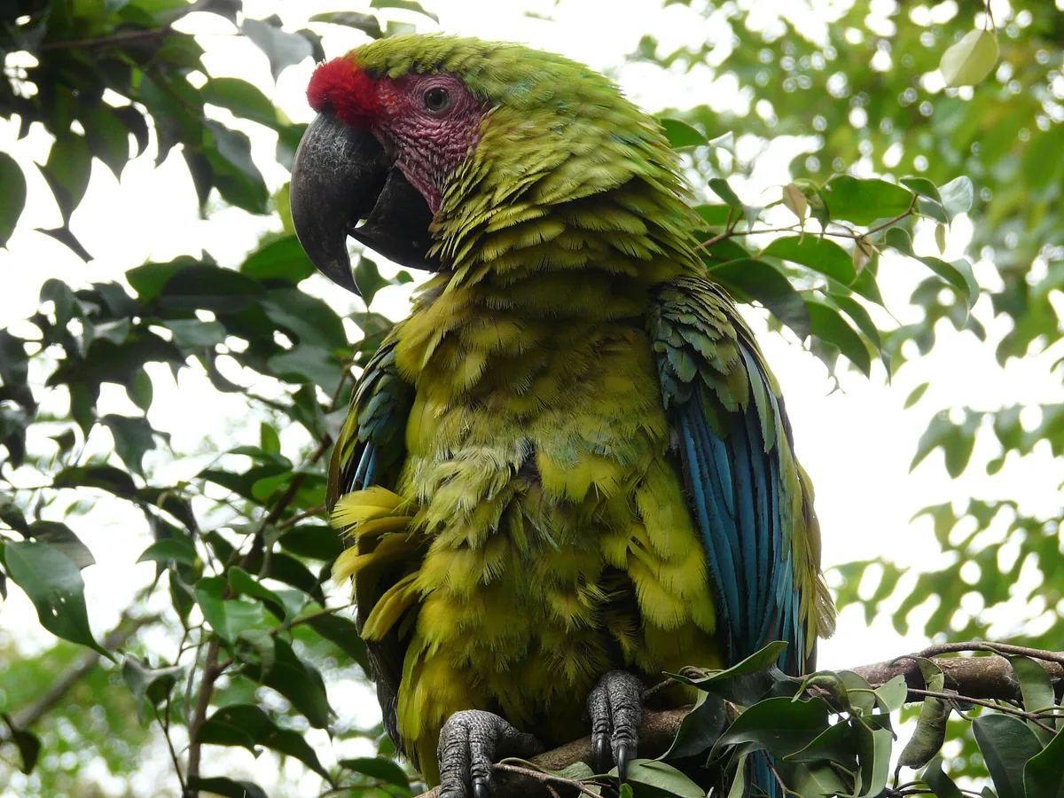 Parque de la Conservación