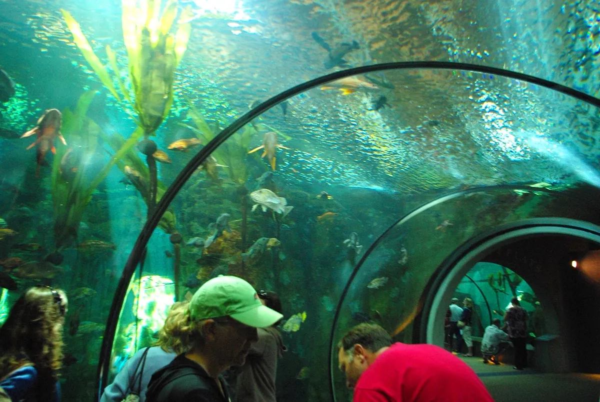 Oregon Coast Aquarium