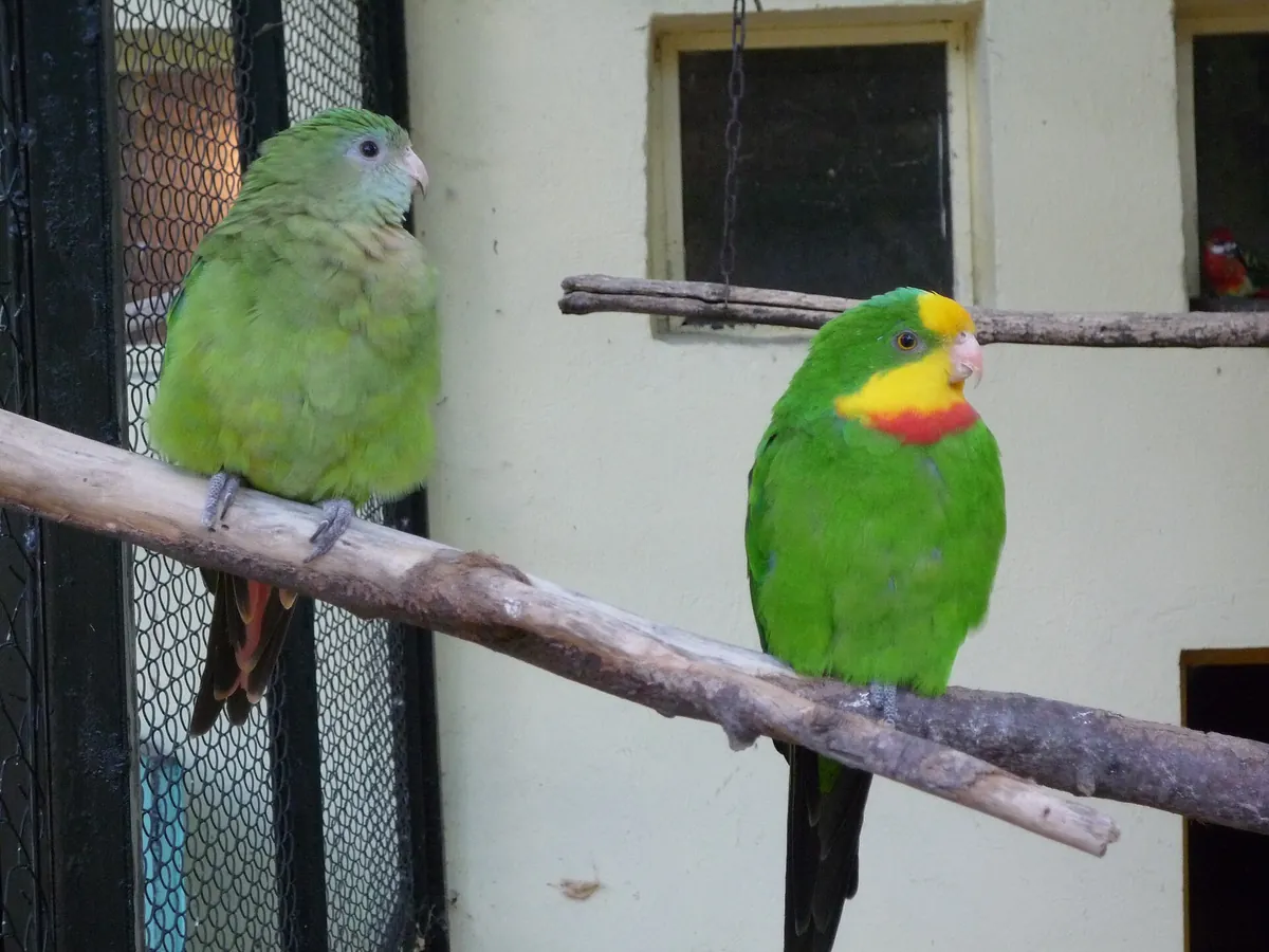 Lovech Zoo