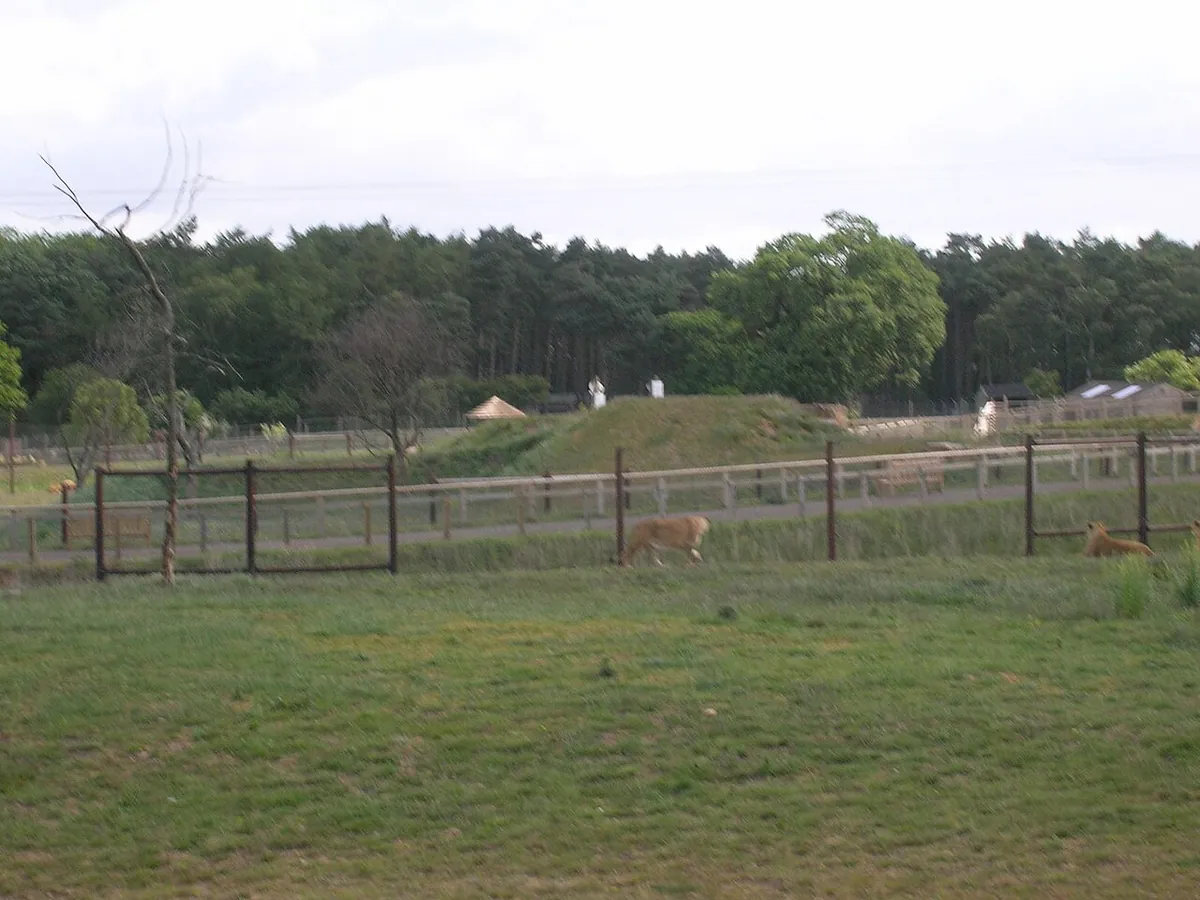 Yorkshire Wildlife Park