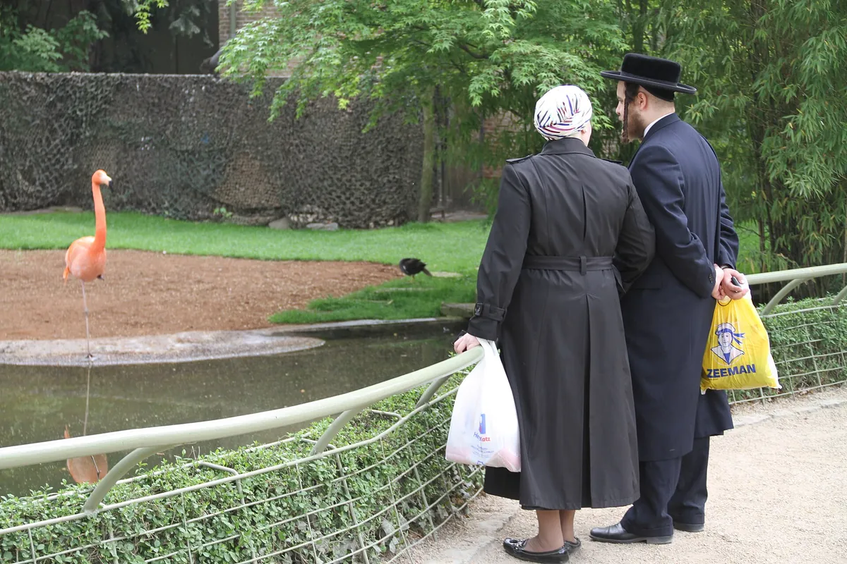 Antwerp Zoo