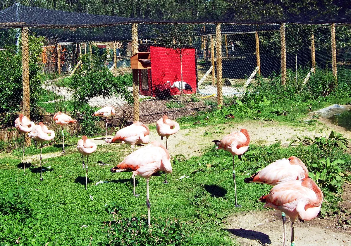 Hanwell Zoo