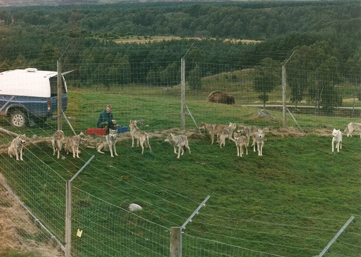 RZSS Highland Wildlife Park