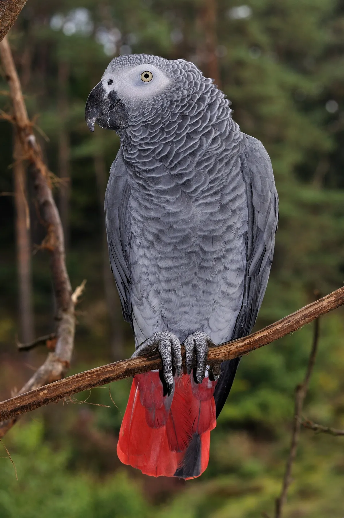 Tierpark Herborn