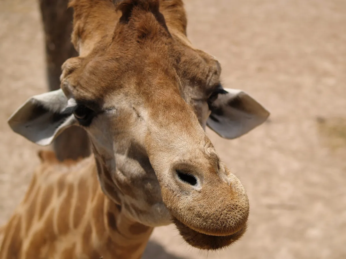 Terra Natura Murcia