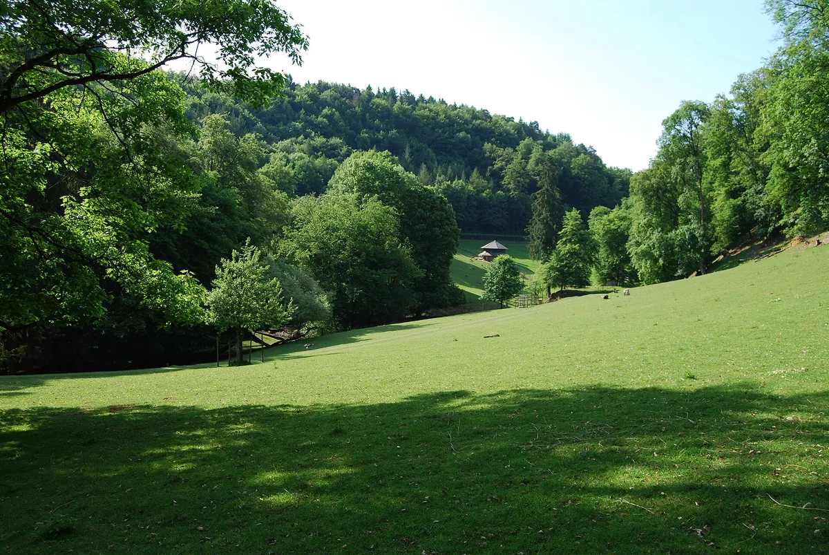 Wildpark Roggenhausen