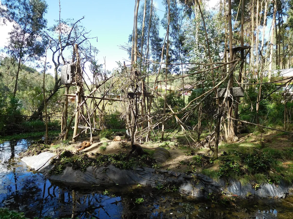 Bioparque AMARU