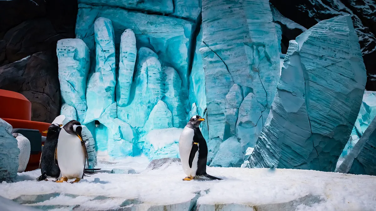 SeaWorld Abu Dhabi