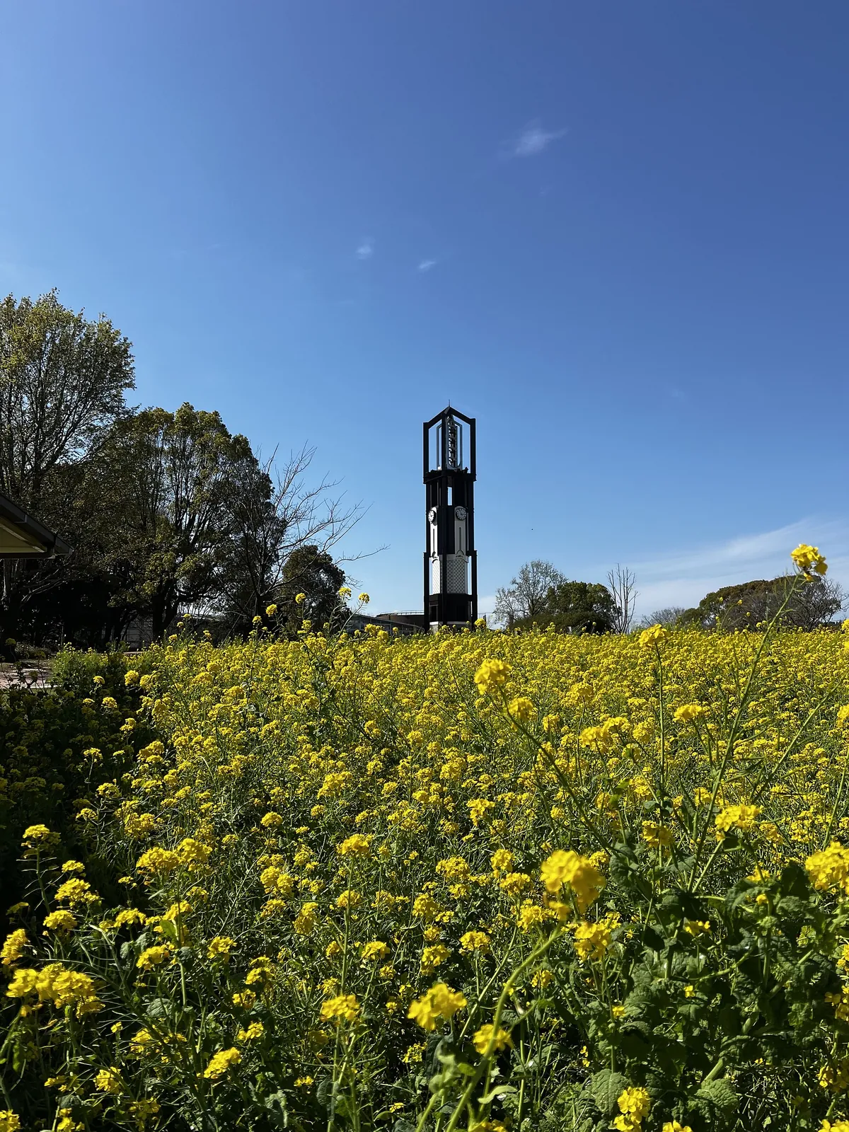 Kumamoto City Zoological and Botanical Gardens