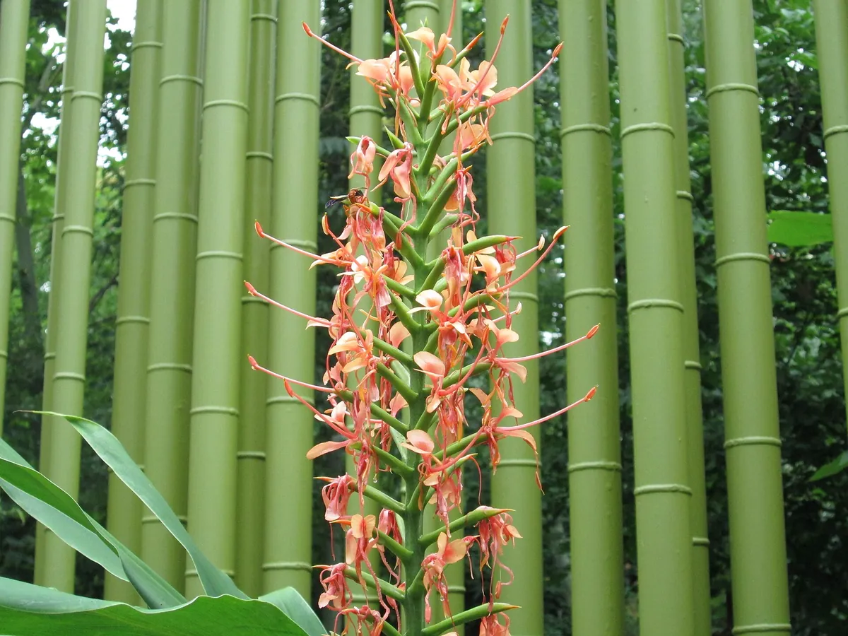 Zoo Atlanta