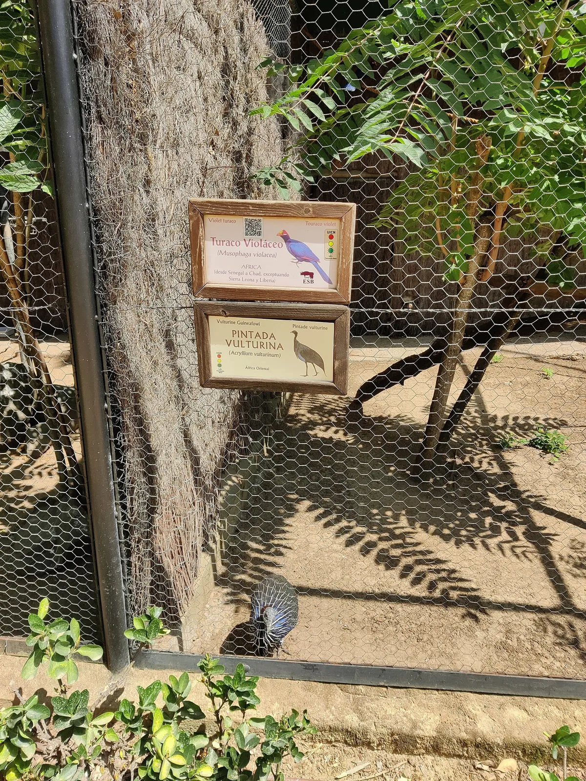 Zoobotánico Jerez